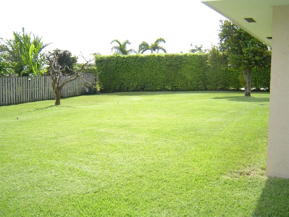 Custom yard cleanup service for year-round maintenance in Coral Springs, FL by Bull's Eye Lawn Service