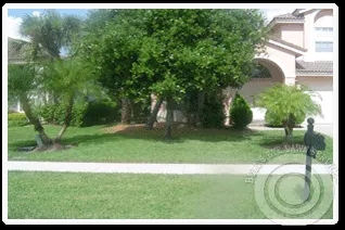 Top-rated yard maintenance near you in Coral Springs, FL by Bull's Eye Lawn Service