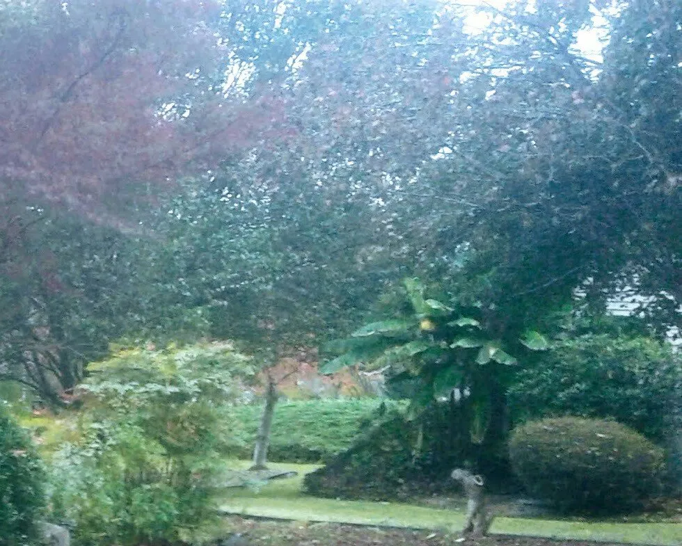 Expert outdoor landscaping in Hot Springs, AR - Bulls Lawn Care Sevices