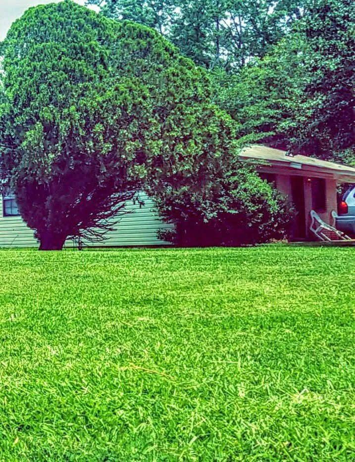 Trusted yard maintenance experts serving Hot Springs, AR - Bulls Lawn Care Sevices