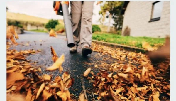 Bullseye Landscape Logo