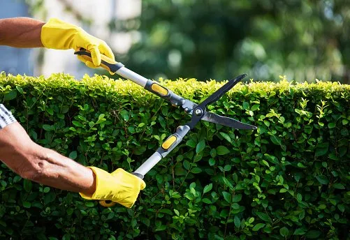 Local yard maintenance in Roswell, NM - Bullseye Lawn Service