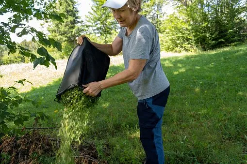 Reliable landscaping services experts serving Roswell, NM - Bullseye Lawn Service