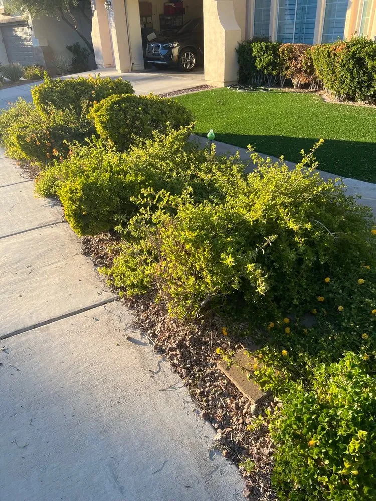 Professional yard cleanup service in Henderson, NV by Bullseye Outdoor Services
