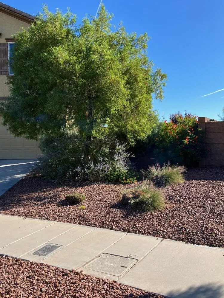 Professional garden landscaping for beautiful yards across Henderson, NV - Bullseye Outdoor Services