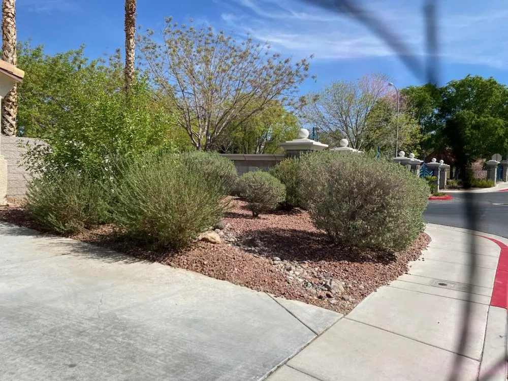 Reliable residential landscaping in Henderson, NV by Bullseye Outdoor Services