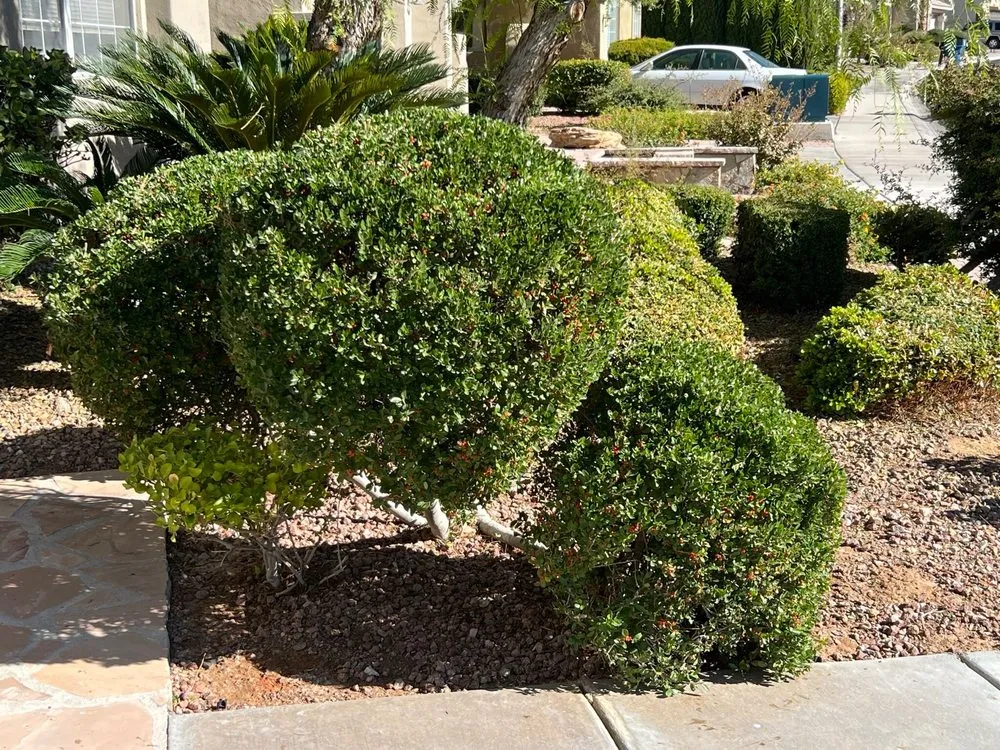 Trusted outdoor landscaping for beautiful yards across Henderson, NV - Bullseye Outdoor Services