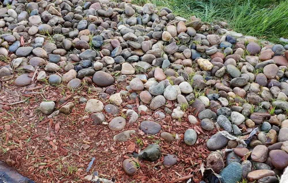 Trusted yard cleanup service with custom design in Henderson, NV by Bullseye Outdoor Services