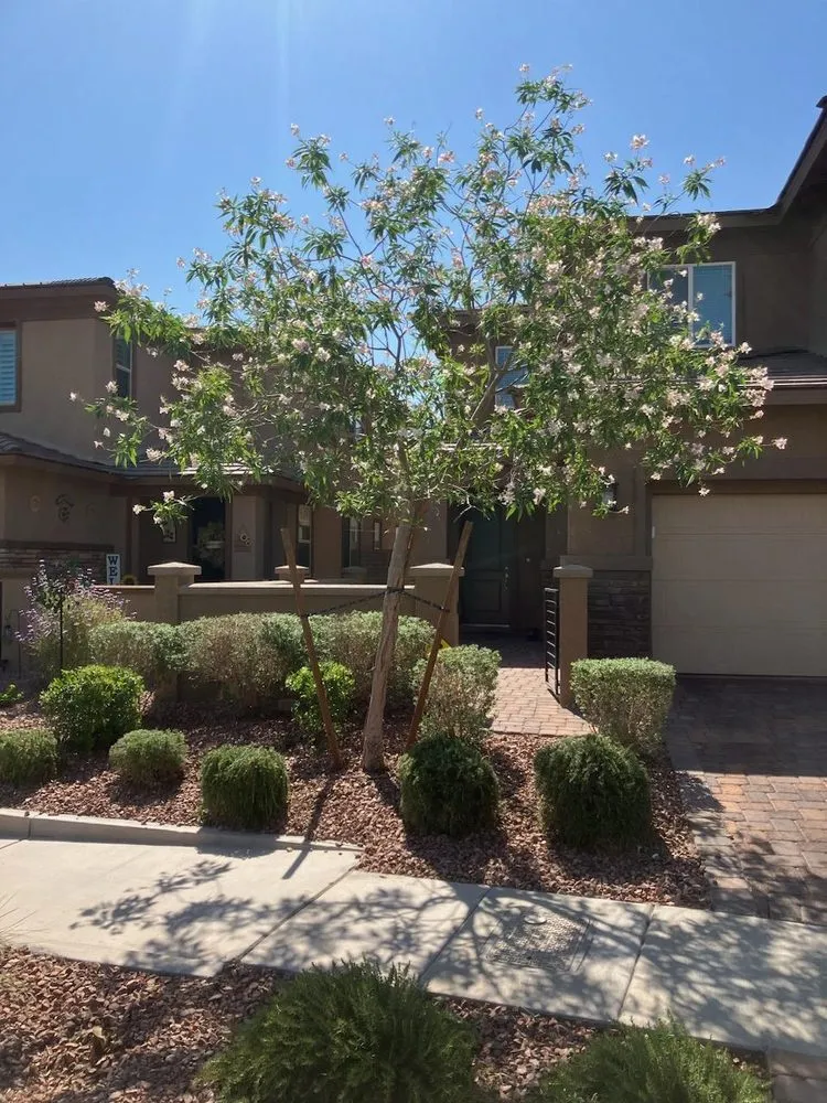 Reliable landscaping services experts serving Henderson, NV - Bullseye Outdoor Services