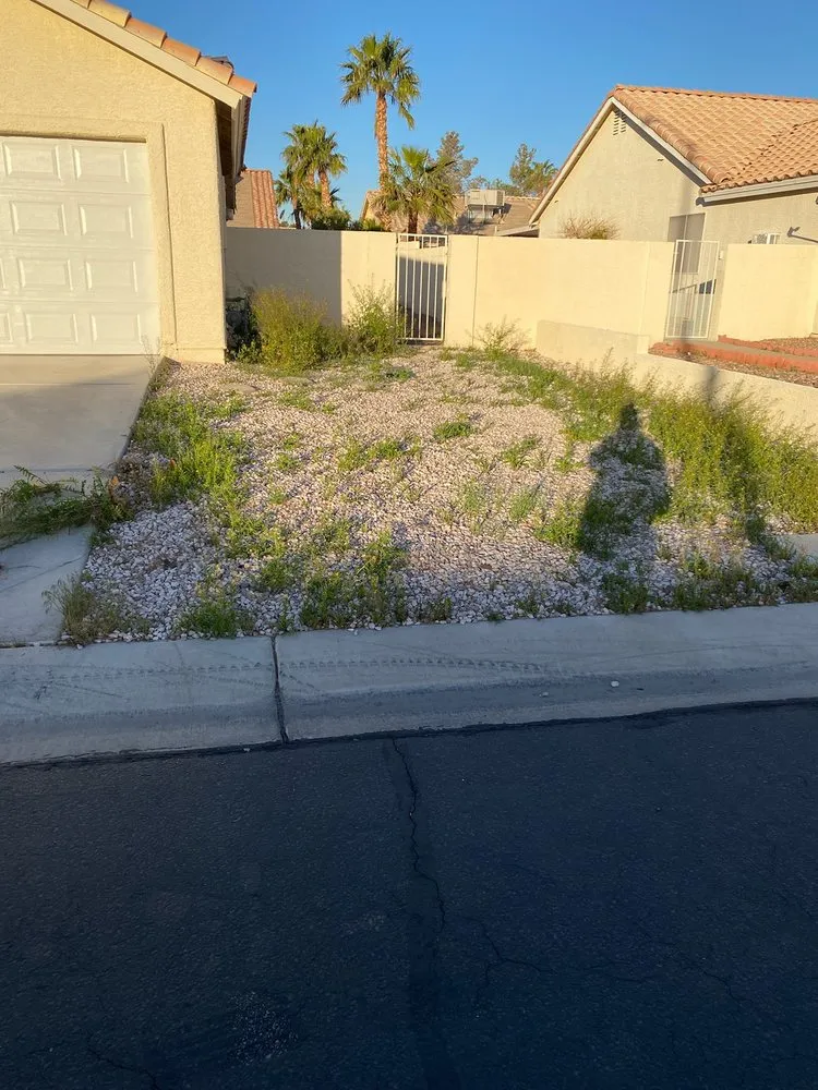 Trusted landscape design near you in Henderson, NV by Bullseye Outdoor Services