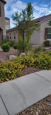 Bullseye Outdoor Services