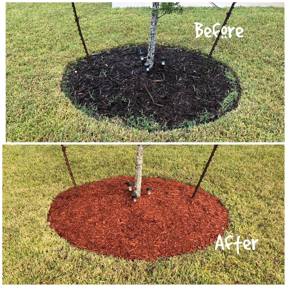 Top-rated landscaping services in San Antonio, TX by BullSht Outlawz