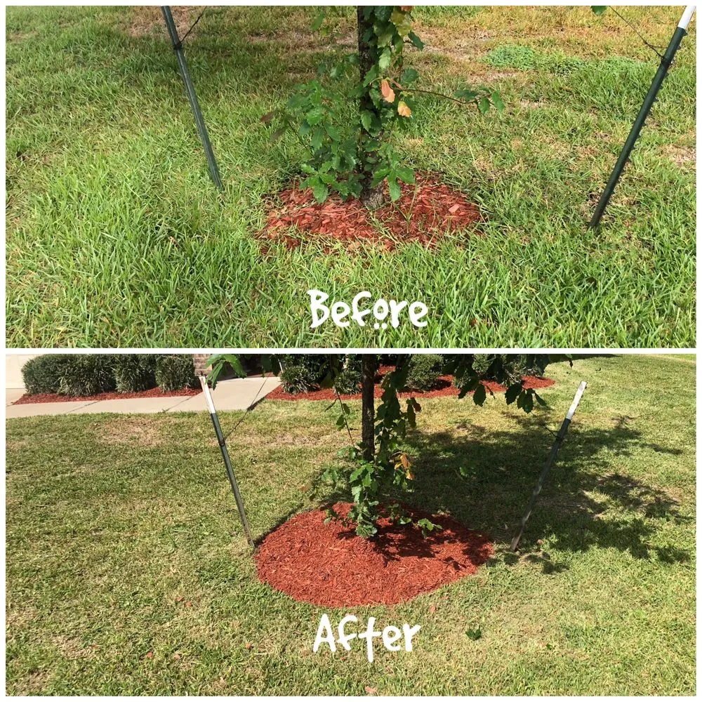 Expert landscaping services for outdoor upgrades in San Antonio, TX by BullSht Outlawz