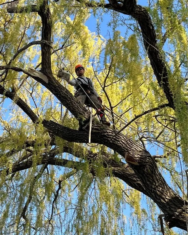 Professional lawn mowing service for outdoor upgrades across Racine, WI - BullyMade Contracting