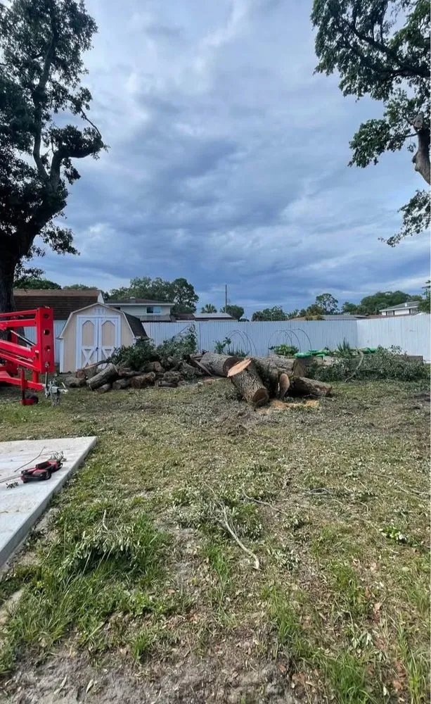 Expert yard cleanup service in Racine, WI by BullyMade Contracting