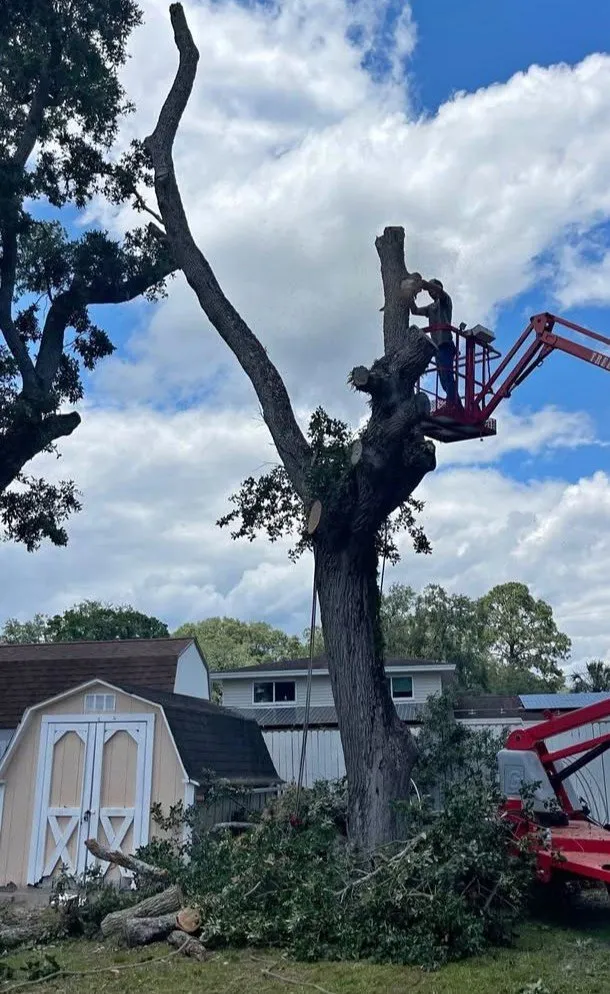 Expert garden landscaping near you in Racine, WI by BullyMade Contracting