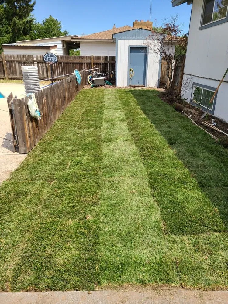Top-rated landscape installation experts serving Kennewick, WA - Bumble Bee Lawn Care