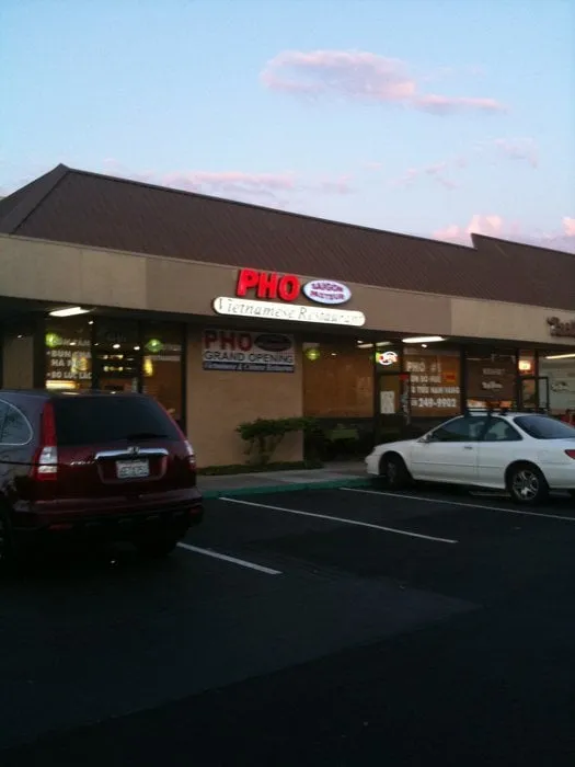 Top-rated yard maintenance for year-round maintenance across Hilton Head Island, SC - Bumble Bee Multi Service