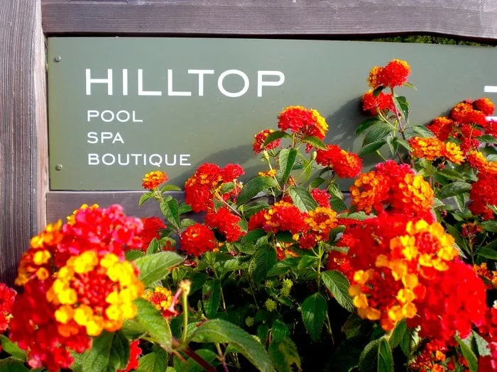 Trusted yard cleanup service for outdoor upgrades in Hilton Head Island, SC by Bumble Bee Multi Service