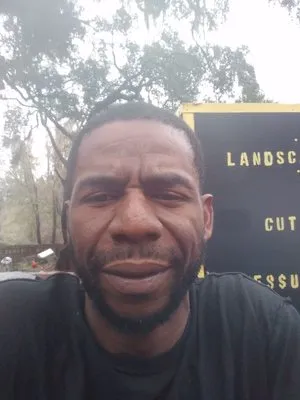 Bumble Bee Multi Service Logo