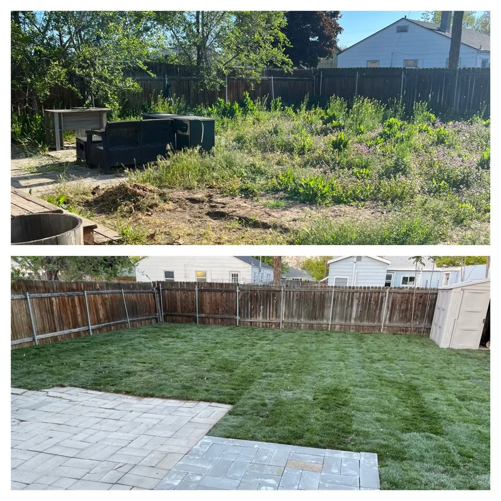 Top-rated landscape installation in Kennewick, WA - Bumblebee lawn care