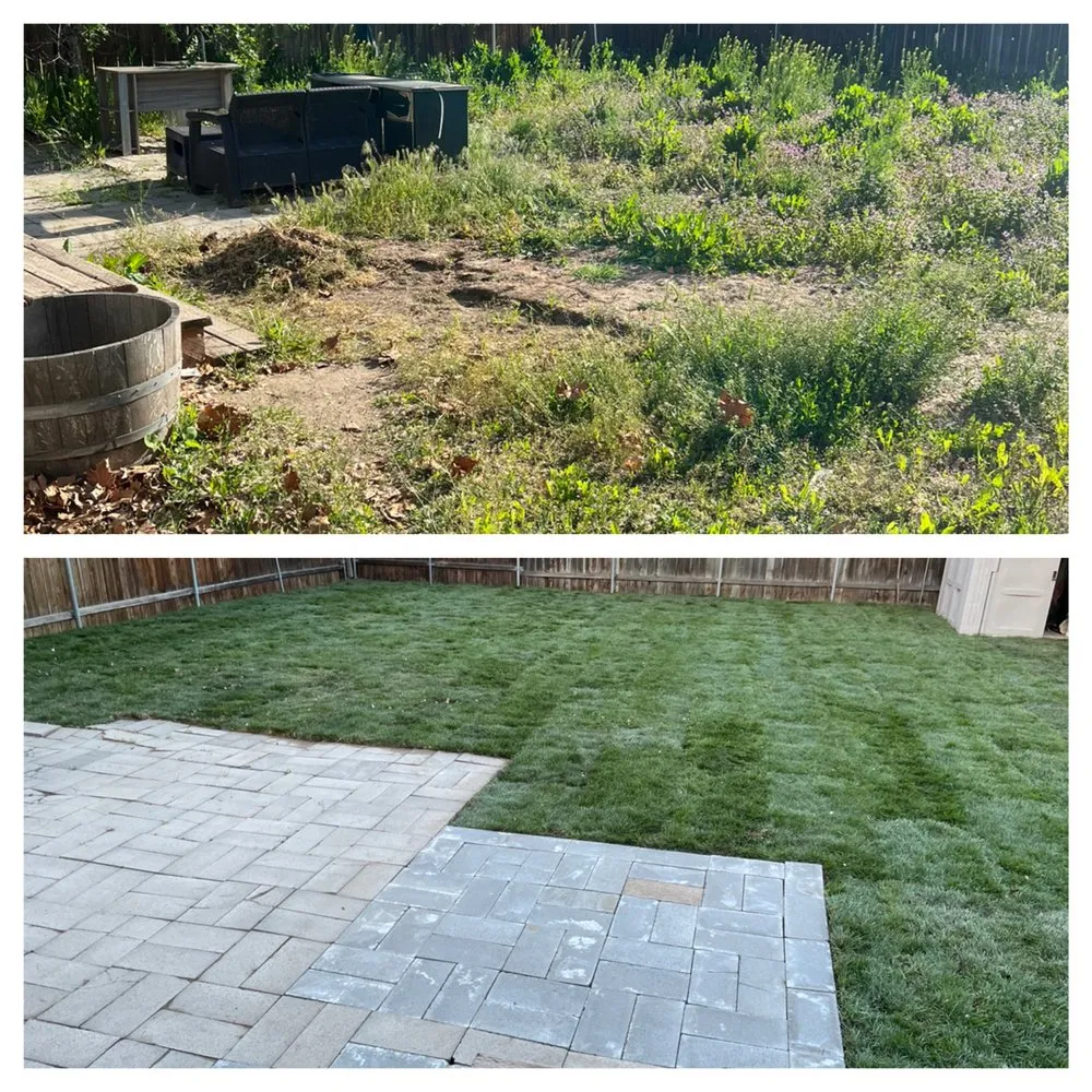 Affordable lawn care service experts serving Kennewick, WA - Bumblebee lawn care