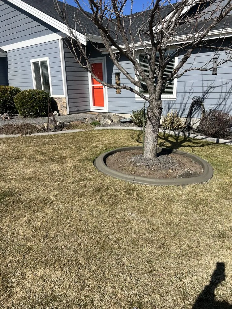 Trusted landscape design in Kennewick, WA - Bumblebee lawn care