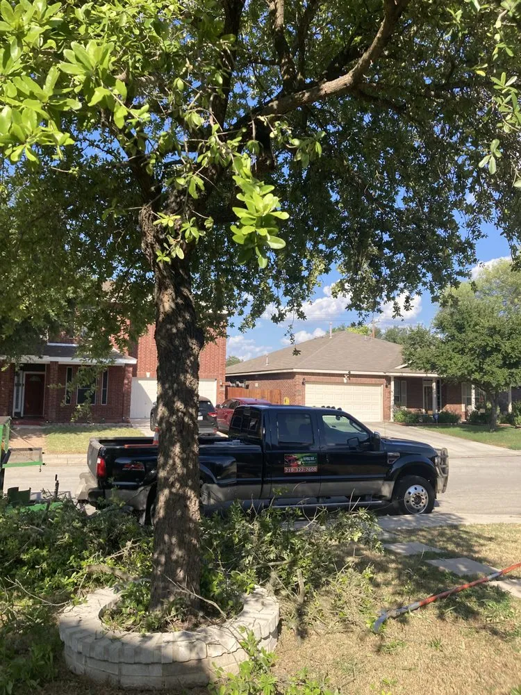 Affordable lawn care service experts serving San Antonio, TX - Bumblebee Lawn Service