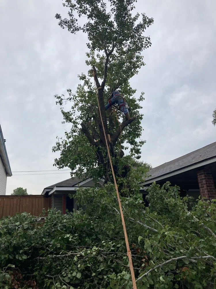 Top-rated garden landscaping in San Antonio, TX - Bumblebee Lawn Service