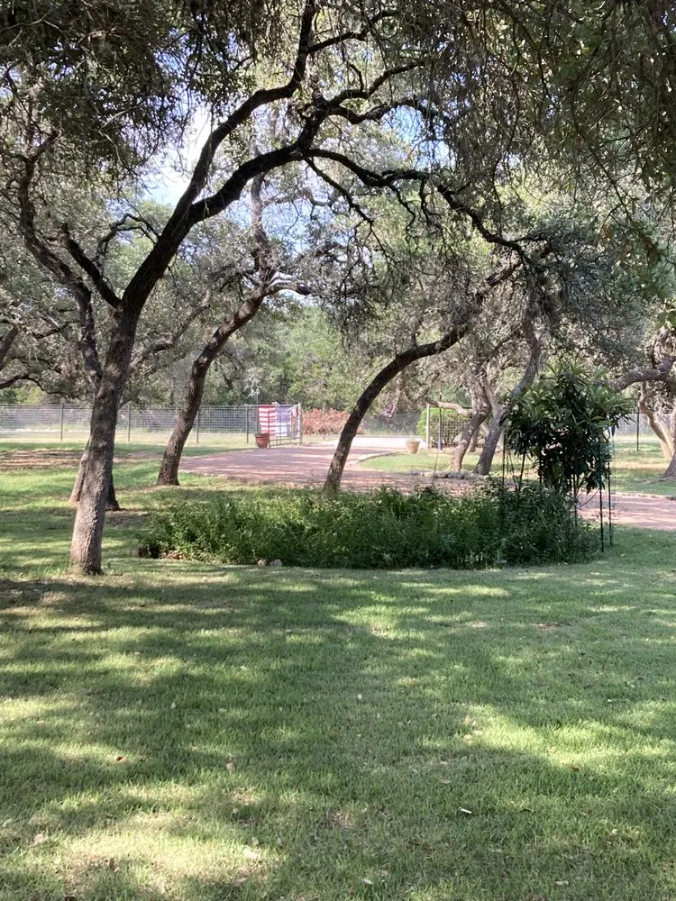 Local yard maintenance in San Antonio, TX by Bumblebee Lawn Service