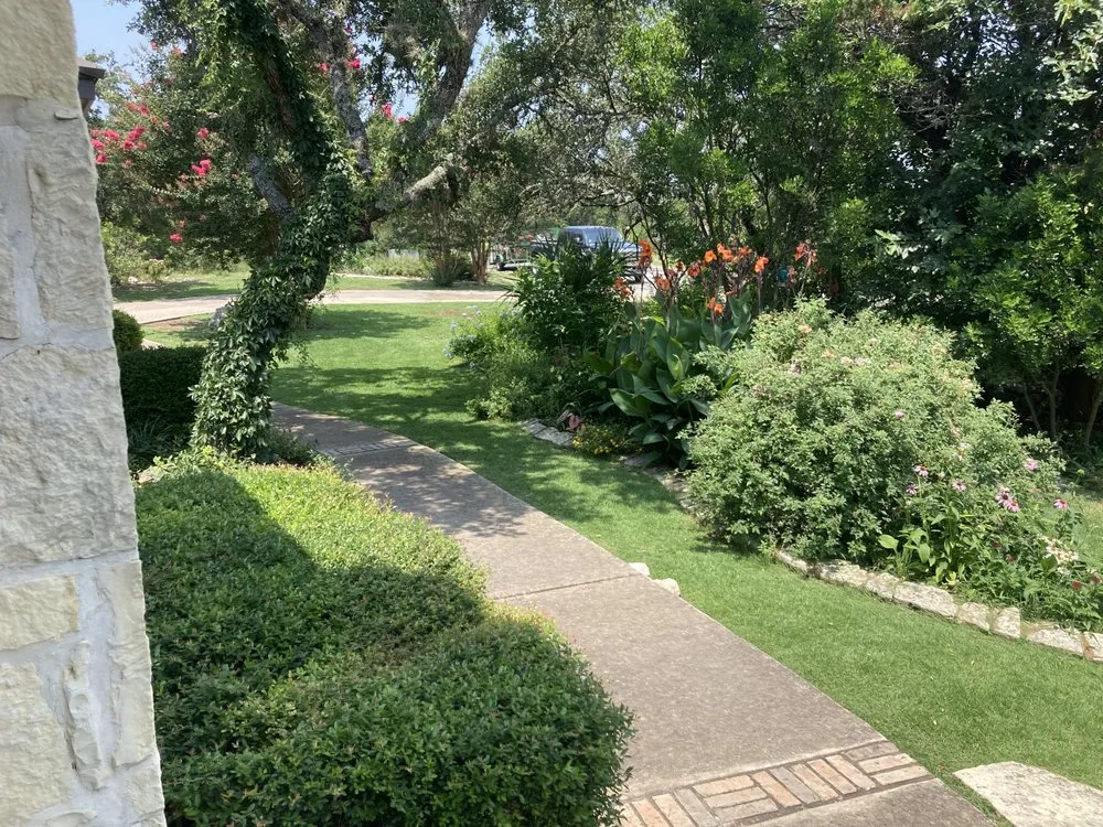 Reliable yard maintenance for beautiful yards across San Antonio, TX - Bumblebee Lawn Service