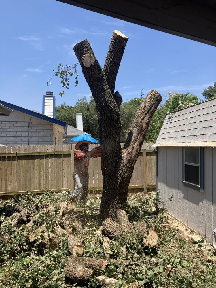 Trusted garden landscaping for year-round maintenance in San Antonio, TX by Bumblebee Lawn Service