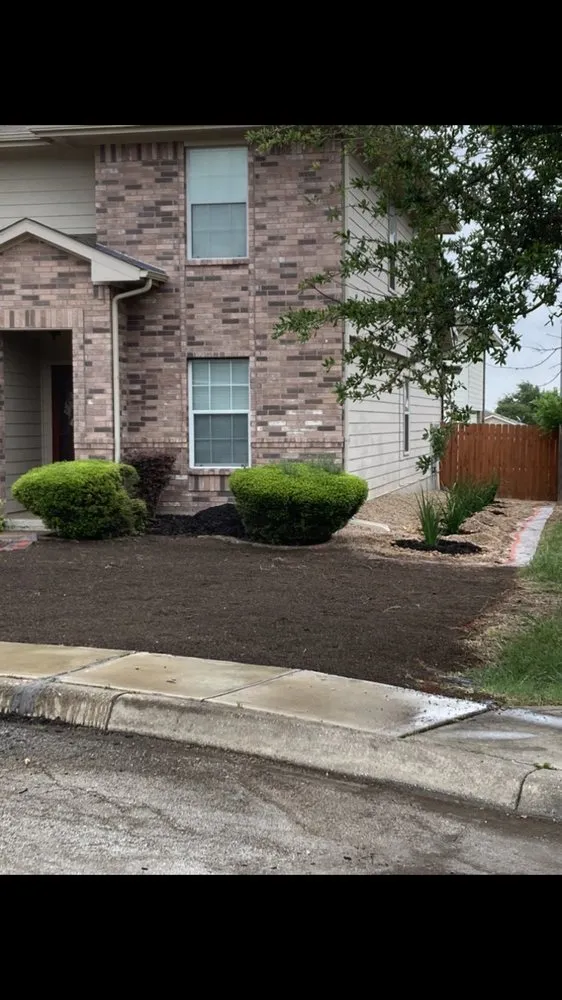 Top-rated yard cleanup service for beautiful yards across San Antonio, TX - Bumblebee Lawn Service