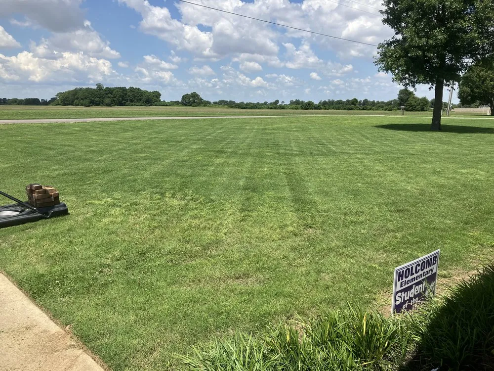 Expert landscaping services in Holcomb, MO - Bumblebee Lawn Services