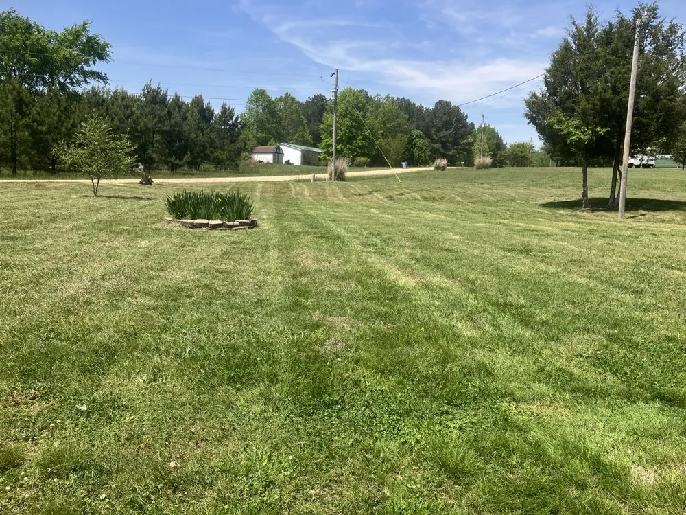 Top-rated residential landscaping experts serving Holcomb, MO - Bumblebee Lawn Services