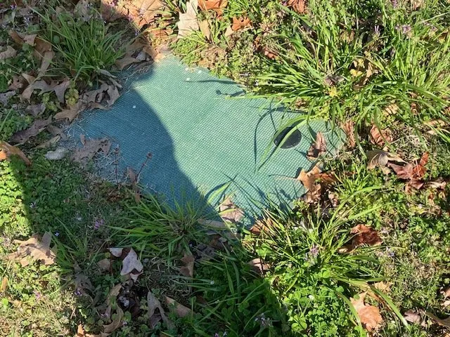 Local yard maintenance in Holcomb, MO by Bumblebee Lawn Services