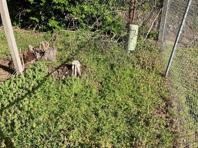 Expert garden landscaping for beautiful yards in Holcomb, MO by Bumblebee Lawn Services