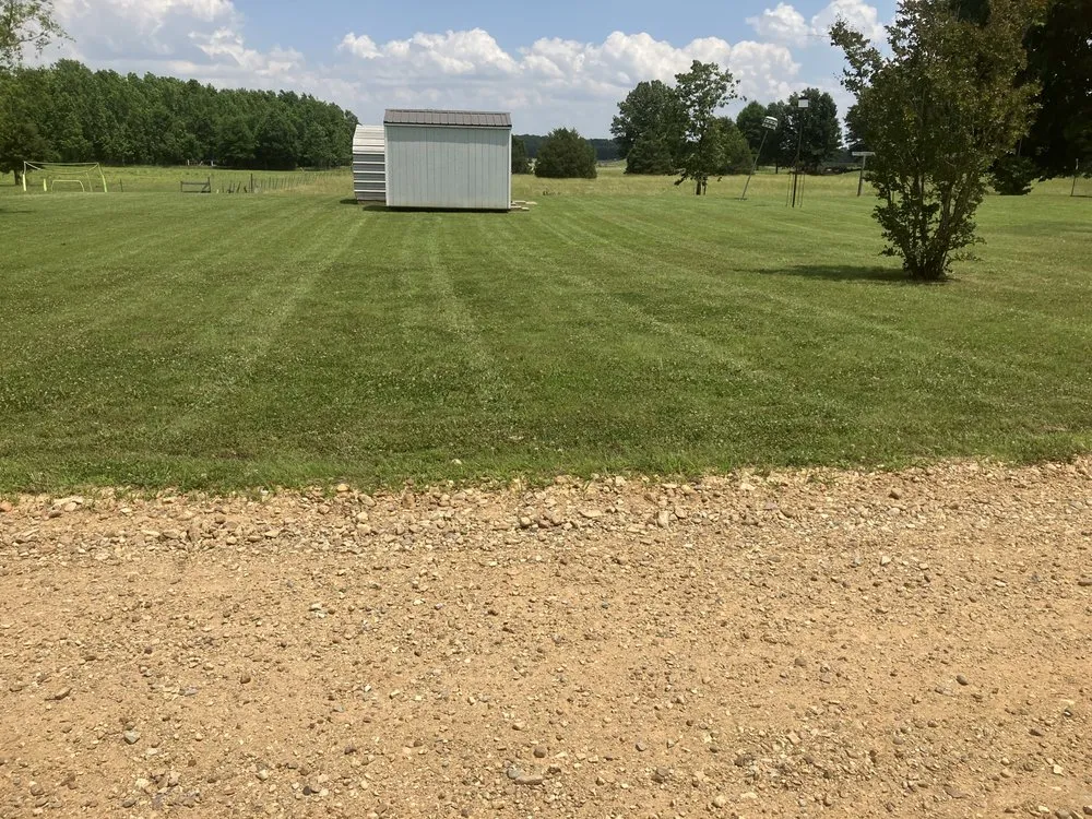 Professional residential landscaping in Holcomb, MO by Bumblebee Lawn Services