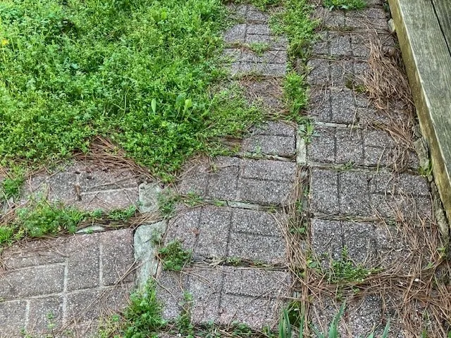 Local yard maintenance in Holcomb, MO - Bumblebee Lawn Services
