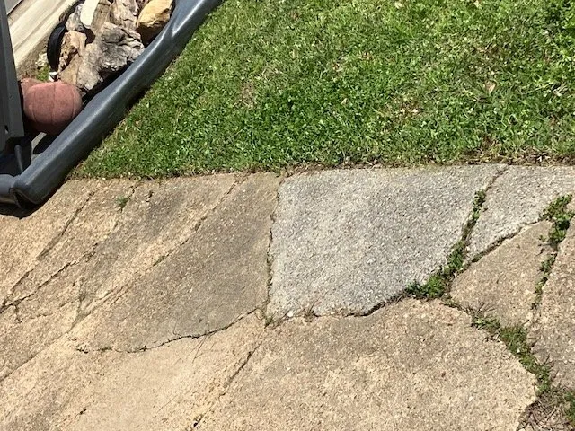 Trusted landscaping services experts serving Holcomb, MO - Bumblebee Lawn Services