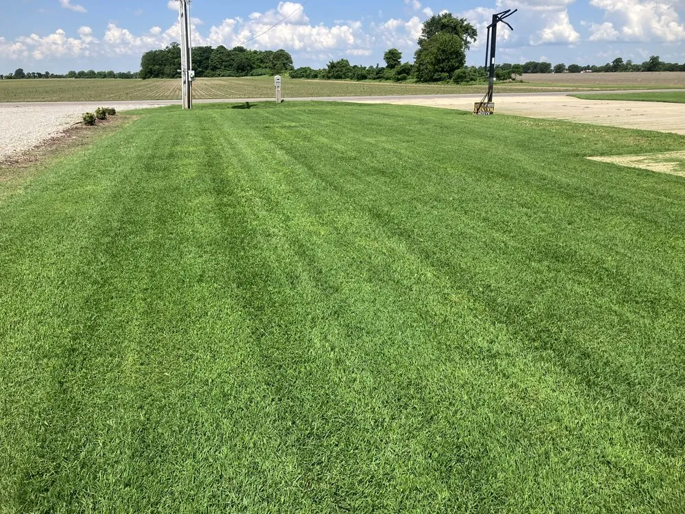 Expert lawn mowing service in Holcomb, MO by Bumblebee Lawn Services