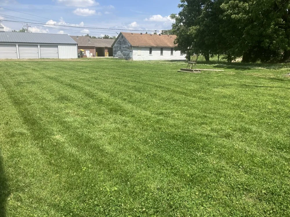 Professional landscaping services in Holcomb, MO by Bumblebee Lawn Services