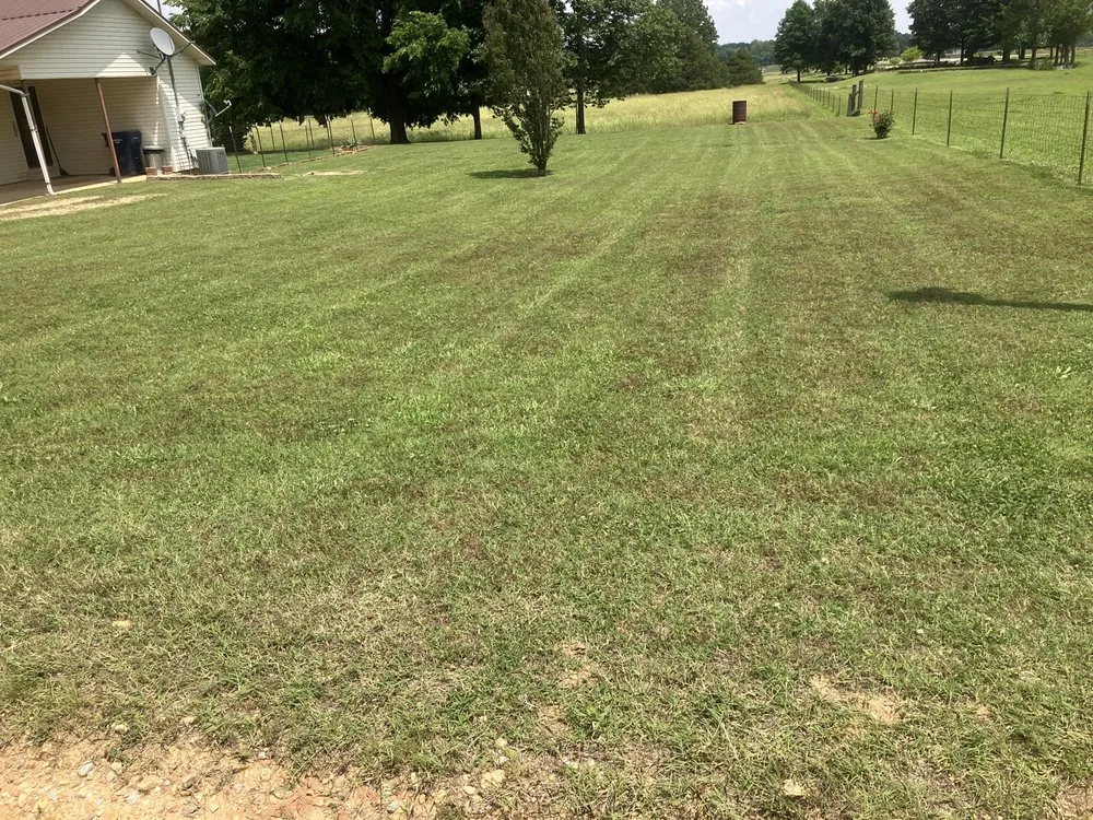 Local residential landscaping for homes in Holcomb, MO by Bumblebee Lawn Services