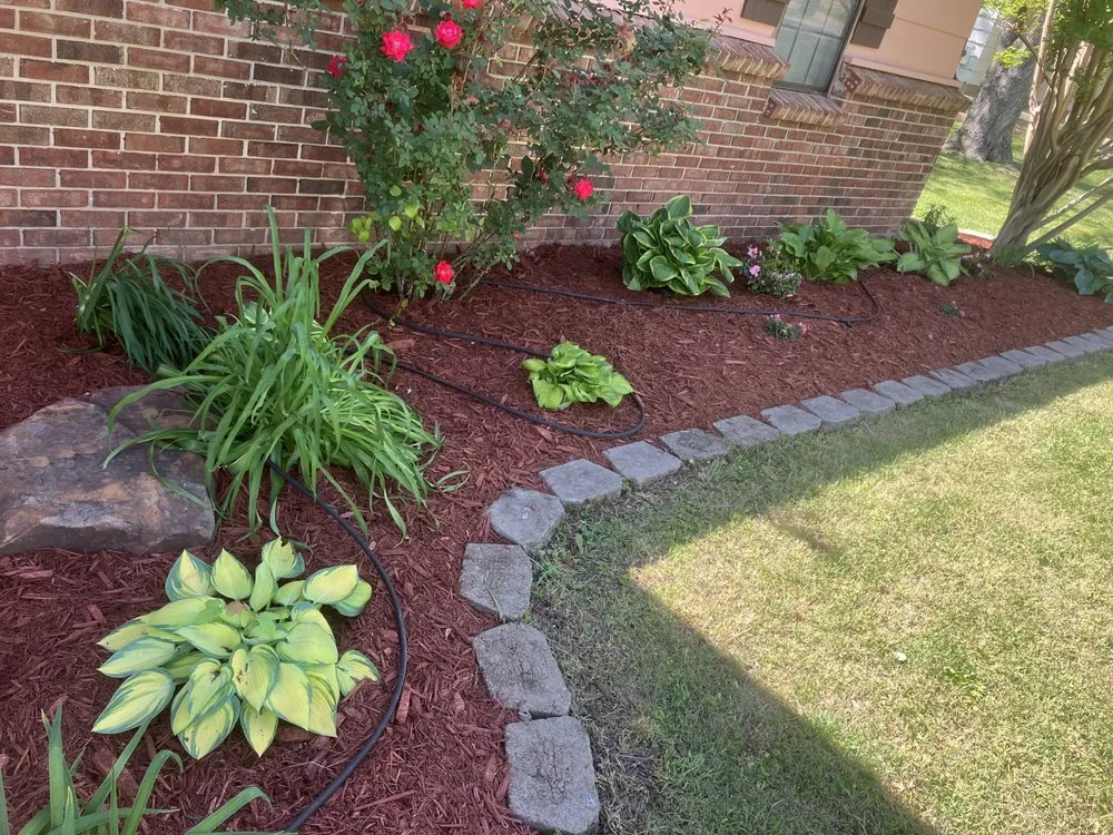 Top-rated yard maintenance for beautiful yards in Holcomb, MO by Bumblebee Lawn Services