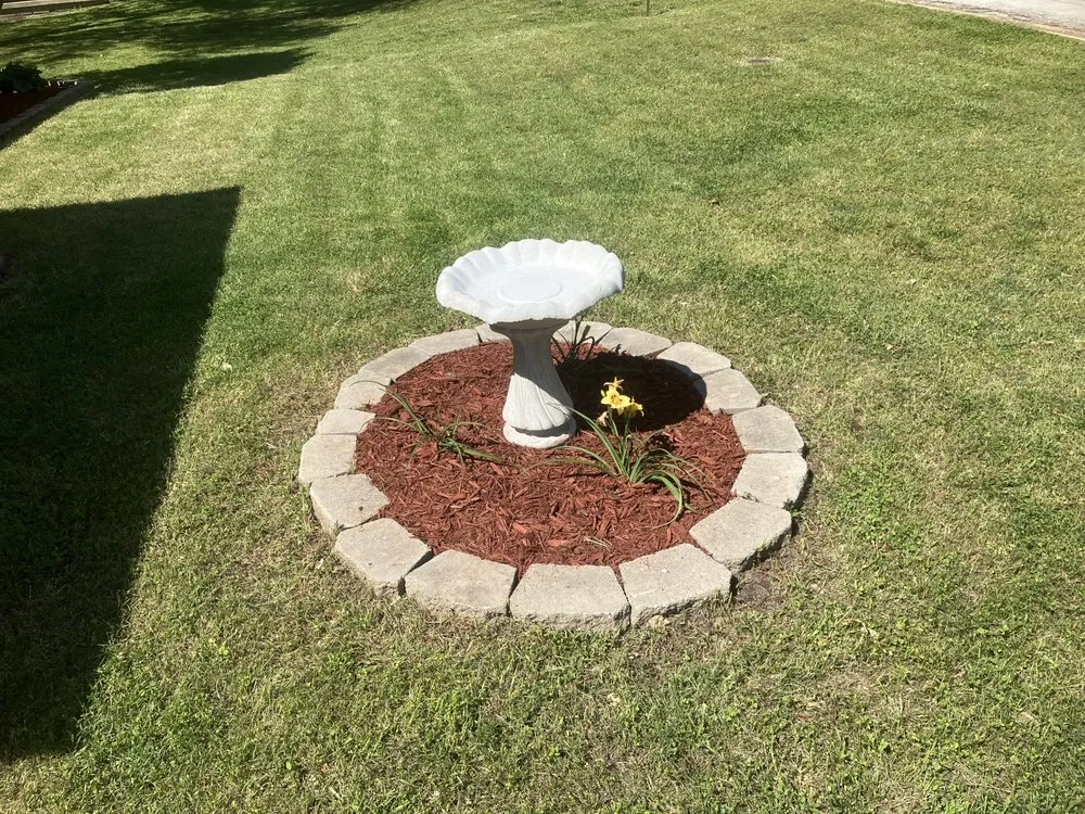 Custom lawn care service experts serving Holcomb, MO - Bumblebee Lawn Services