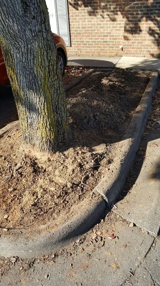 Reliable lawn mowing service in Kernersville, NC - Bumgardner Lawn & Landscaping