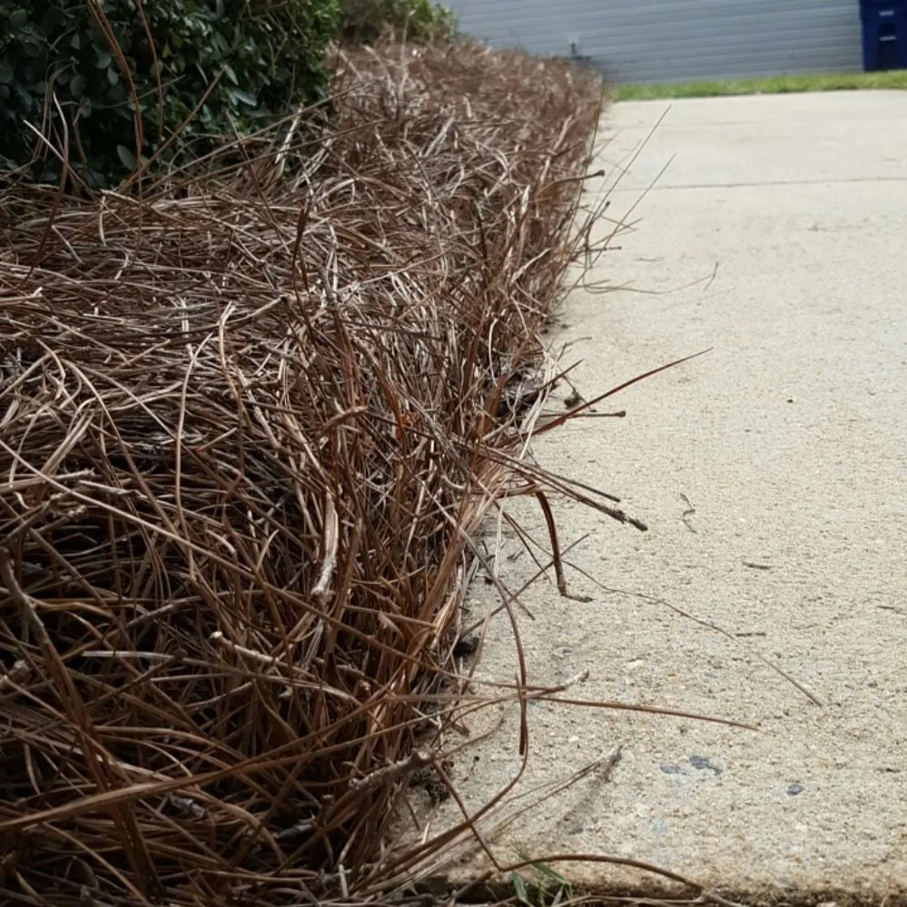 Expert landscaping services in Kernersville, NC - Bumgardner Lawn & Landscaping