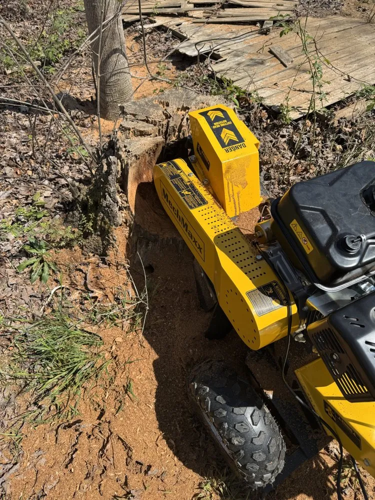 Professional lawn mowing service for year-round maintenance across Clarkrange, TN - Bump And Grind Stump Removal