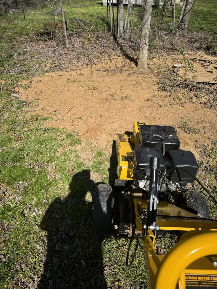 Trusted residential landscaping experts serving Clarkrange, TN - Bump And Grind Stump Removal