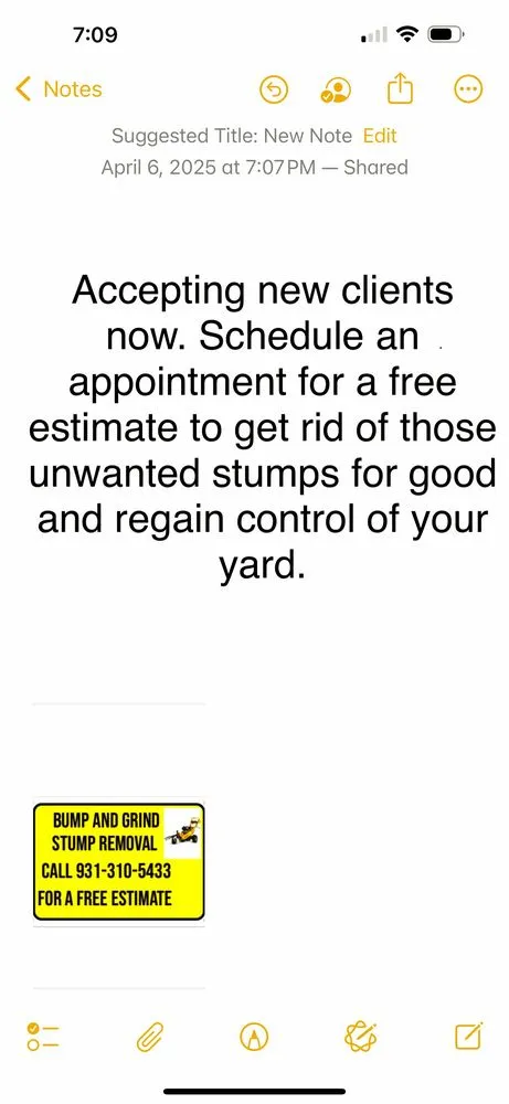 Affordable lawn care service in Clarkrange, TN - Bump And Grind Stump Removal